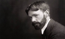 D.H. Lawrence